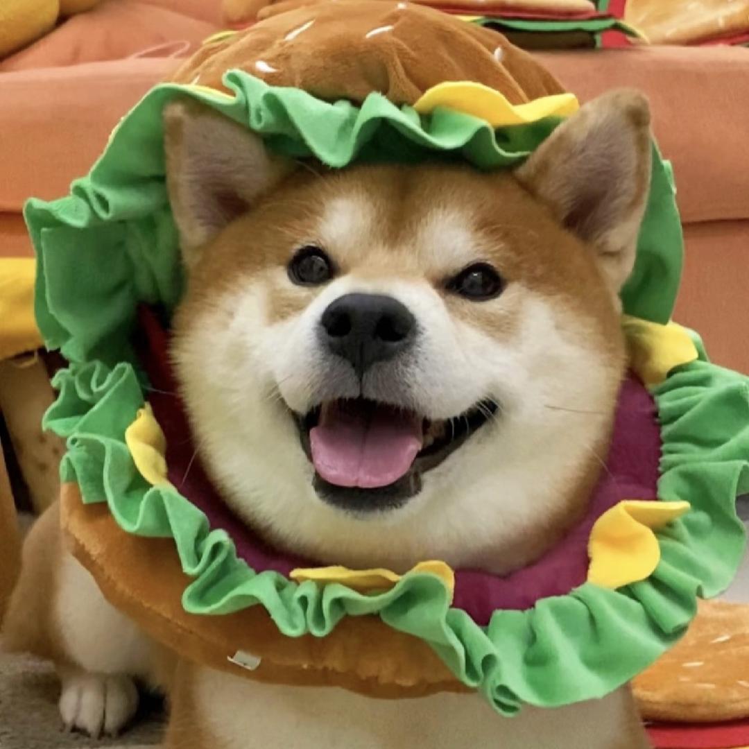 小旺多吃点🍔