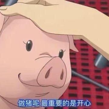 一头有理想的猪