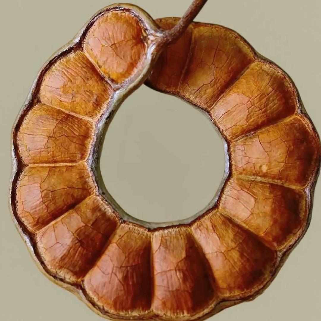 创意生活小铺Ou