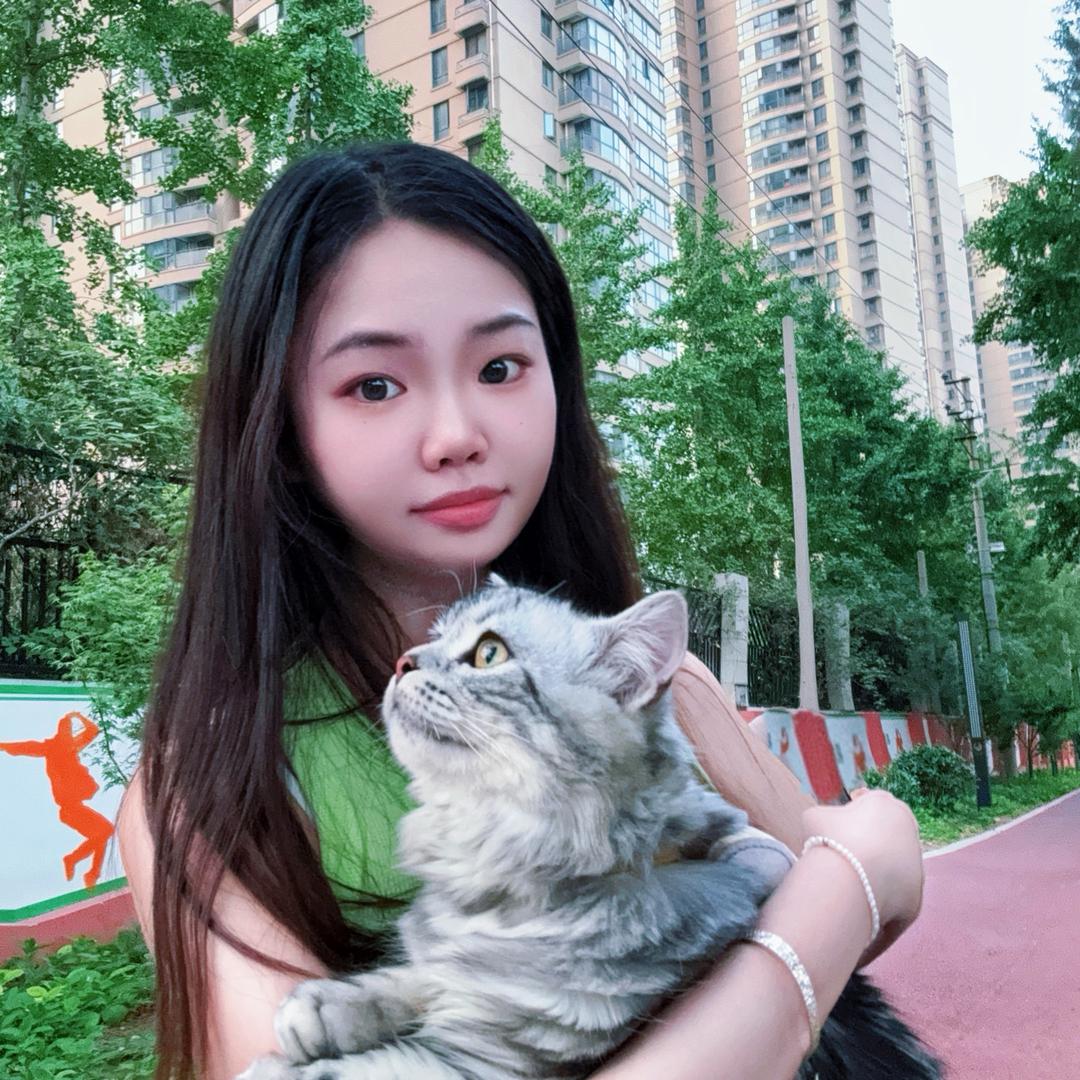 十一、