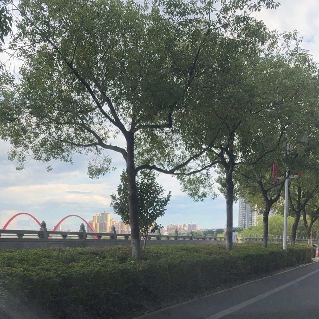 念心