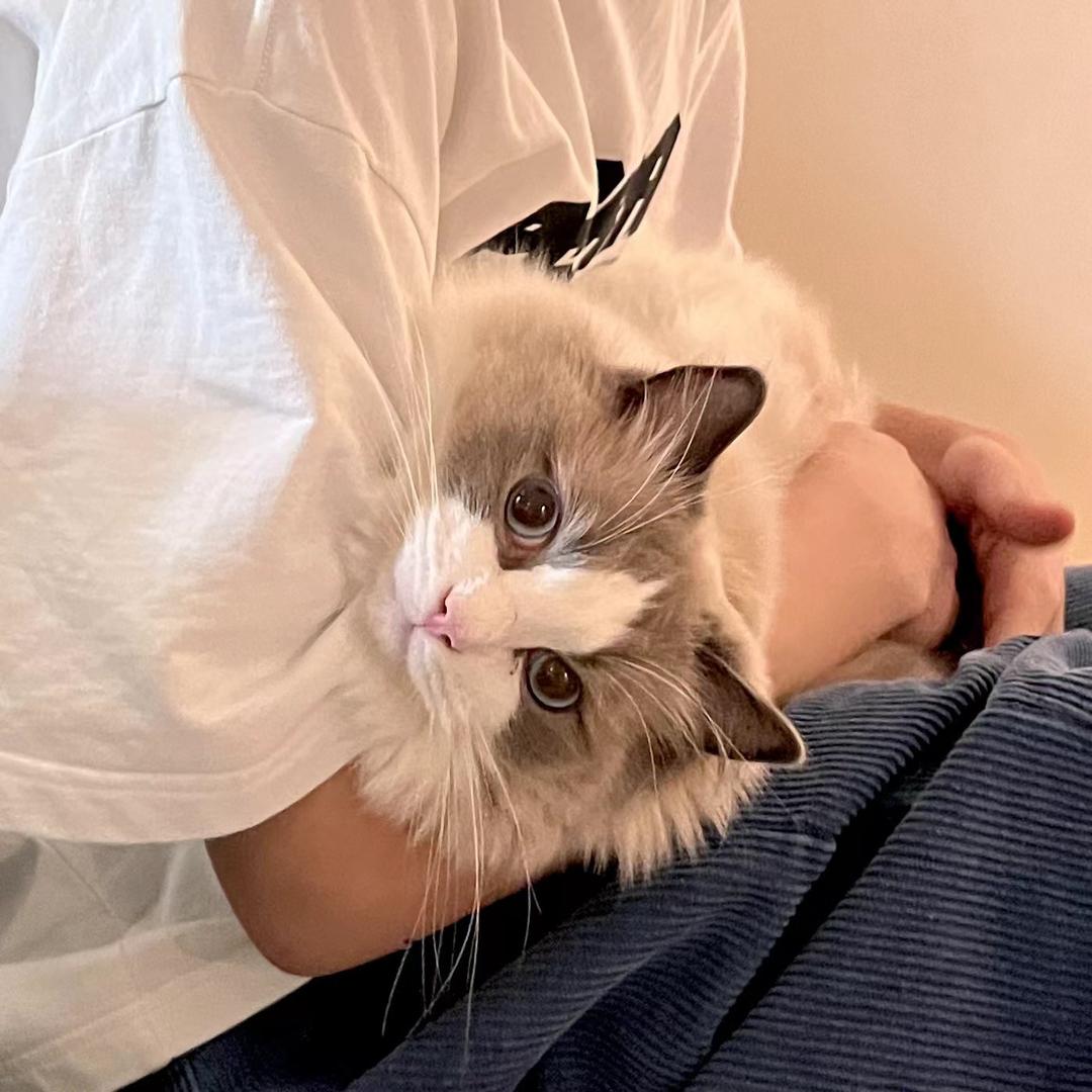 CY