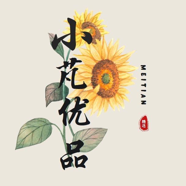 小芃优品汇