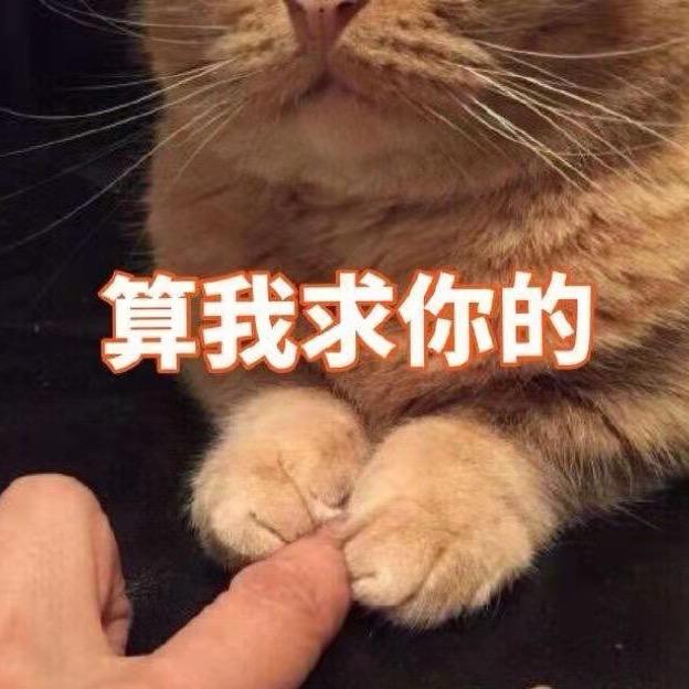 Yqqqq