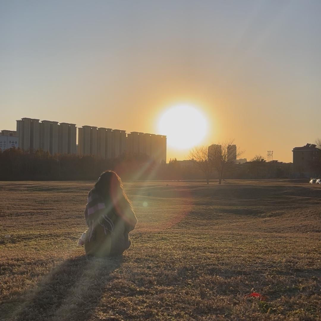 情绪稳定的小猫