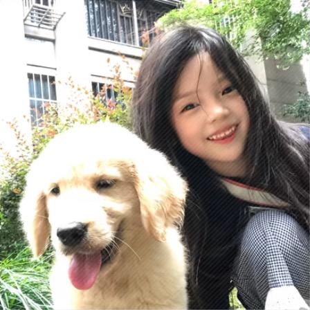 我  为什么  这么  笨