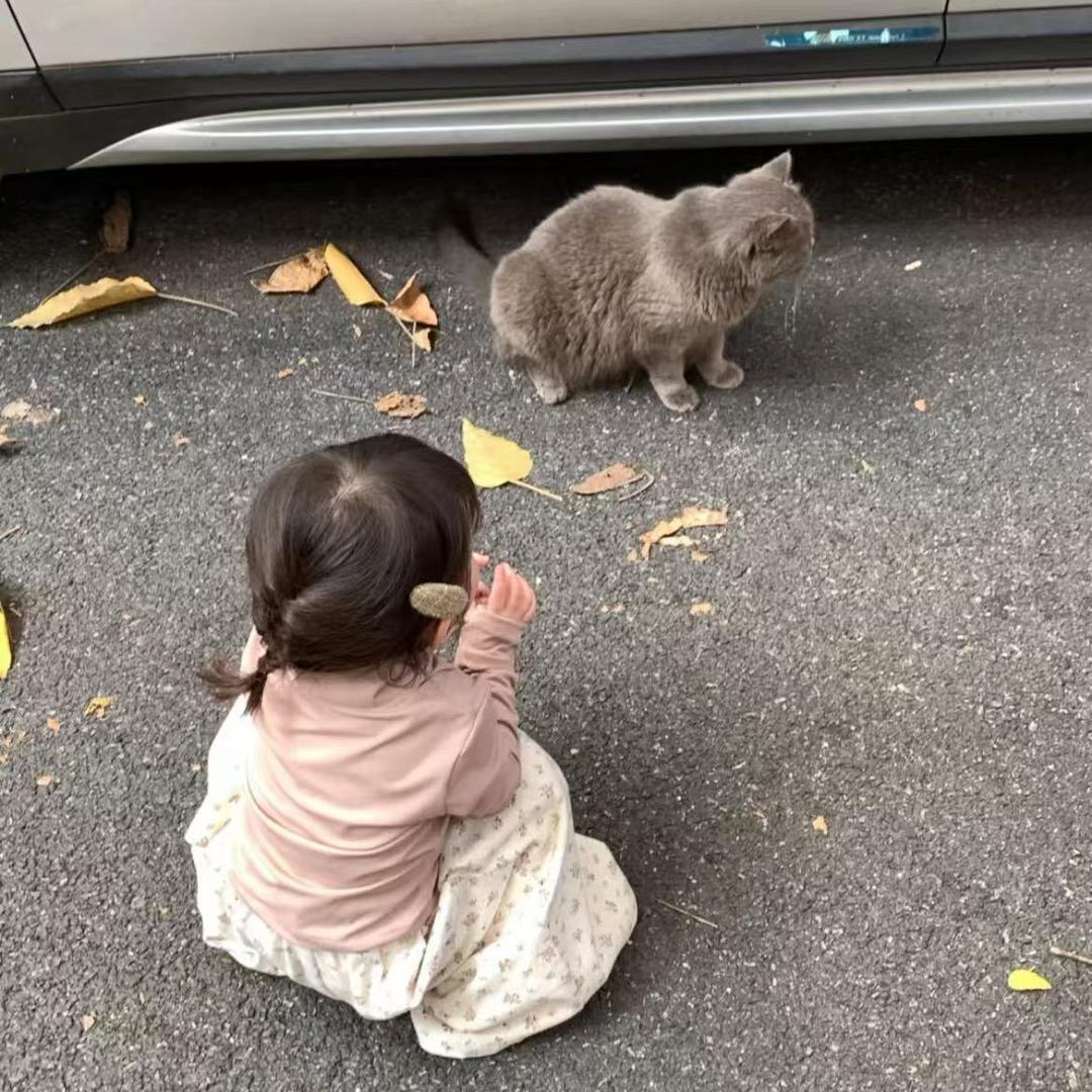 小宇
