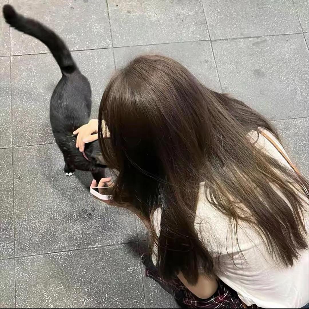 油猫饼