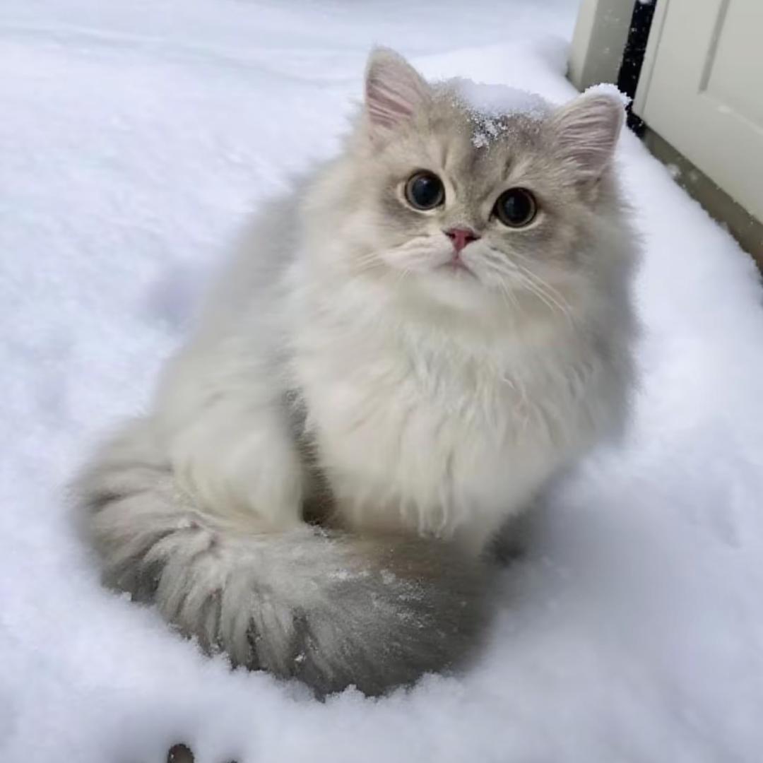 南城影院桌游馆