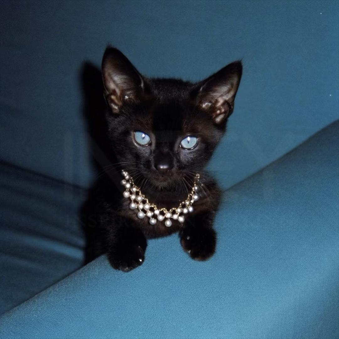 Monster.LayLa