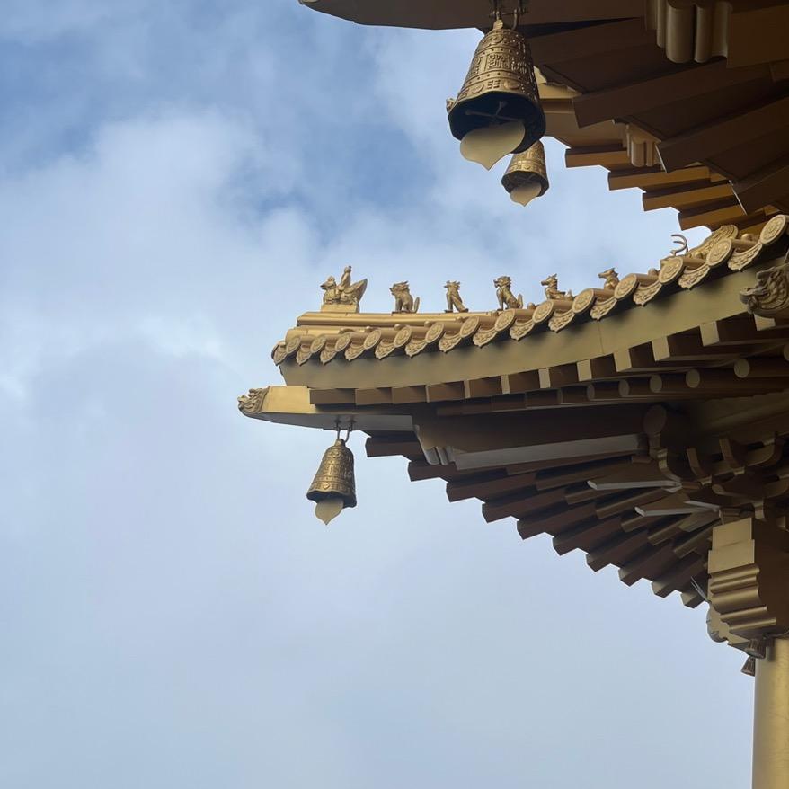 誉满农农资小神