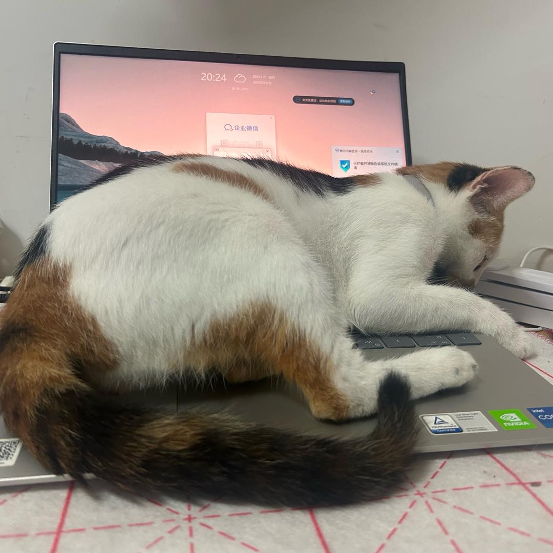 丑得俊