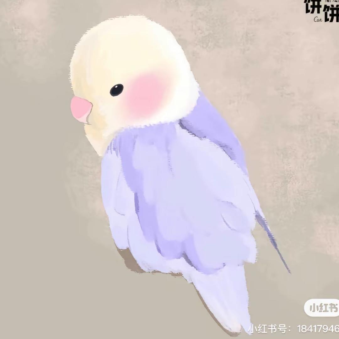 Feii-手养鹦鹉（出鸟）