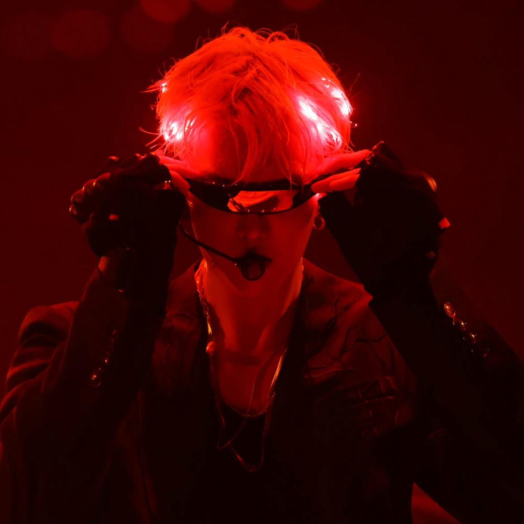 十一&仔仔🐈‍⬛