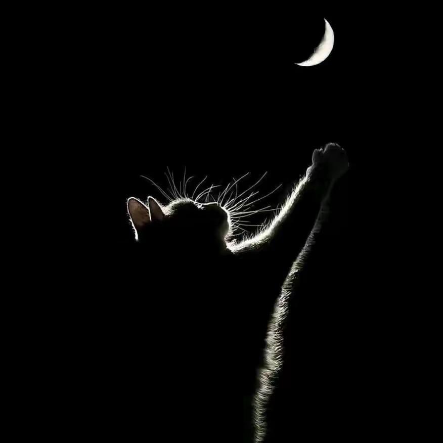 达镒钢木家具供应链