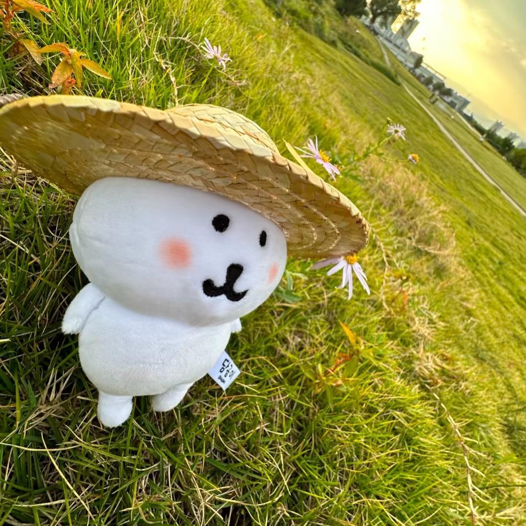 小羊咩咩