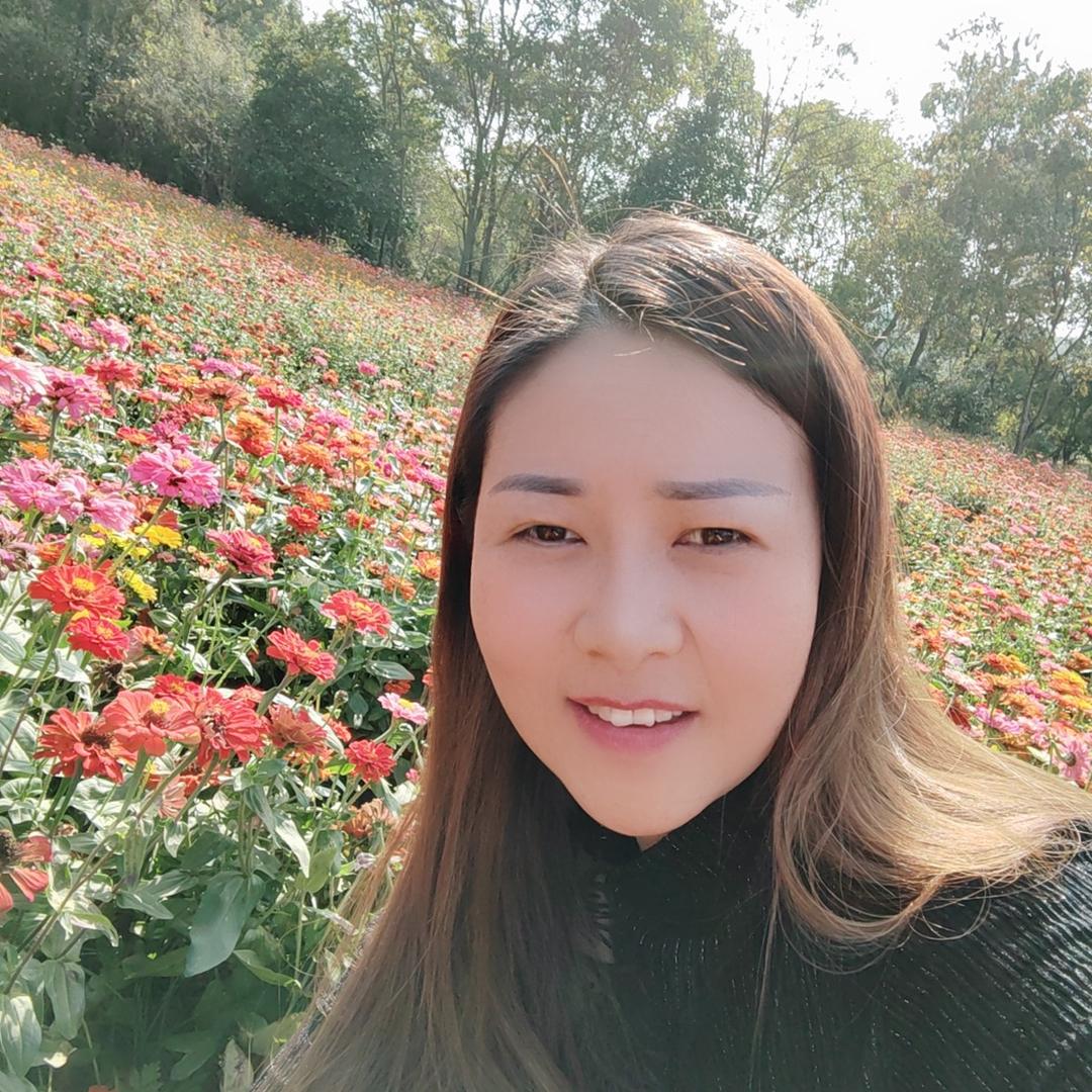 木木达