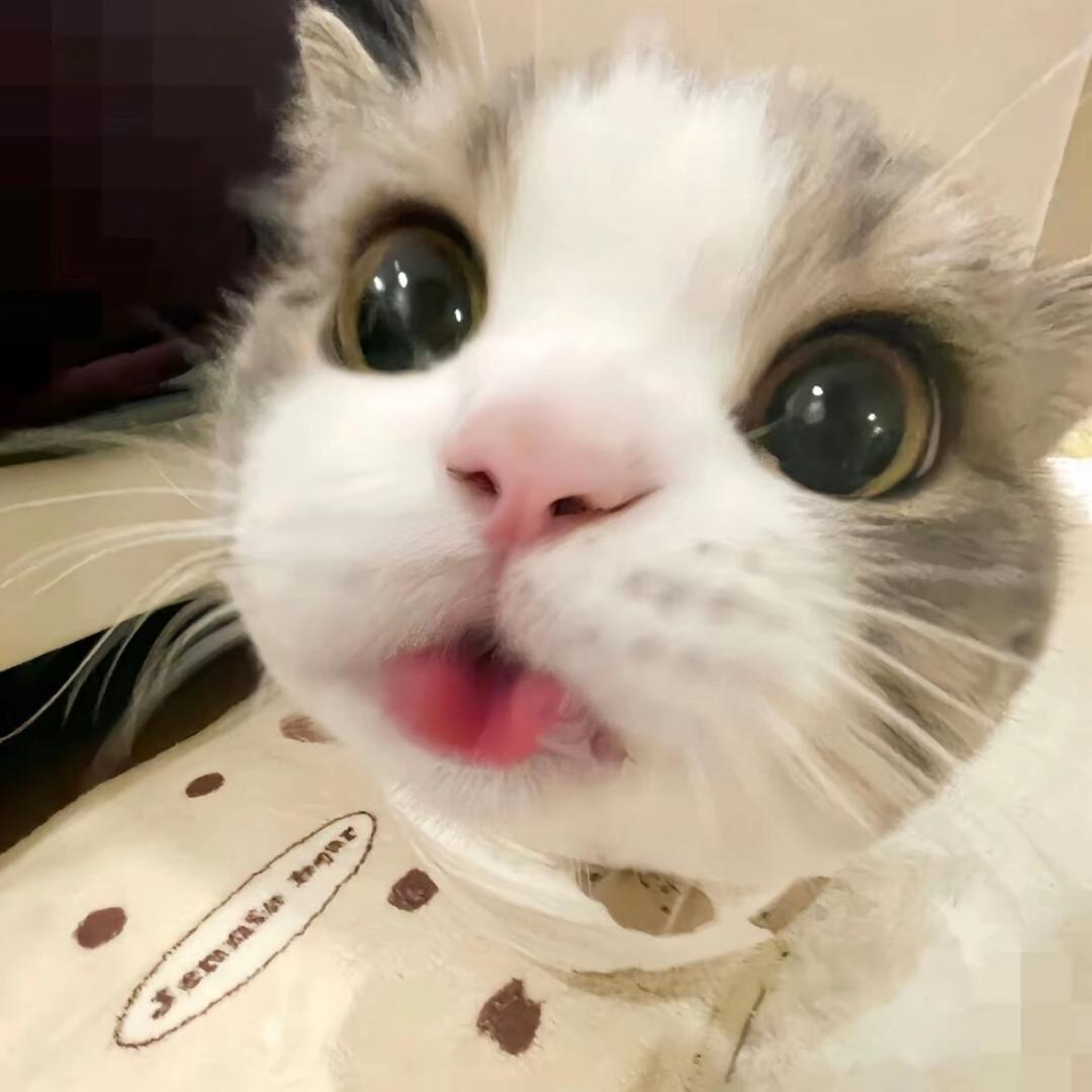 派 派
