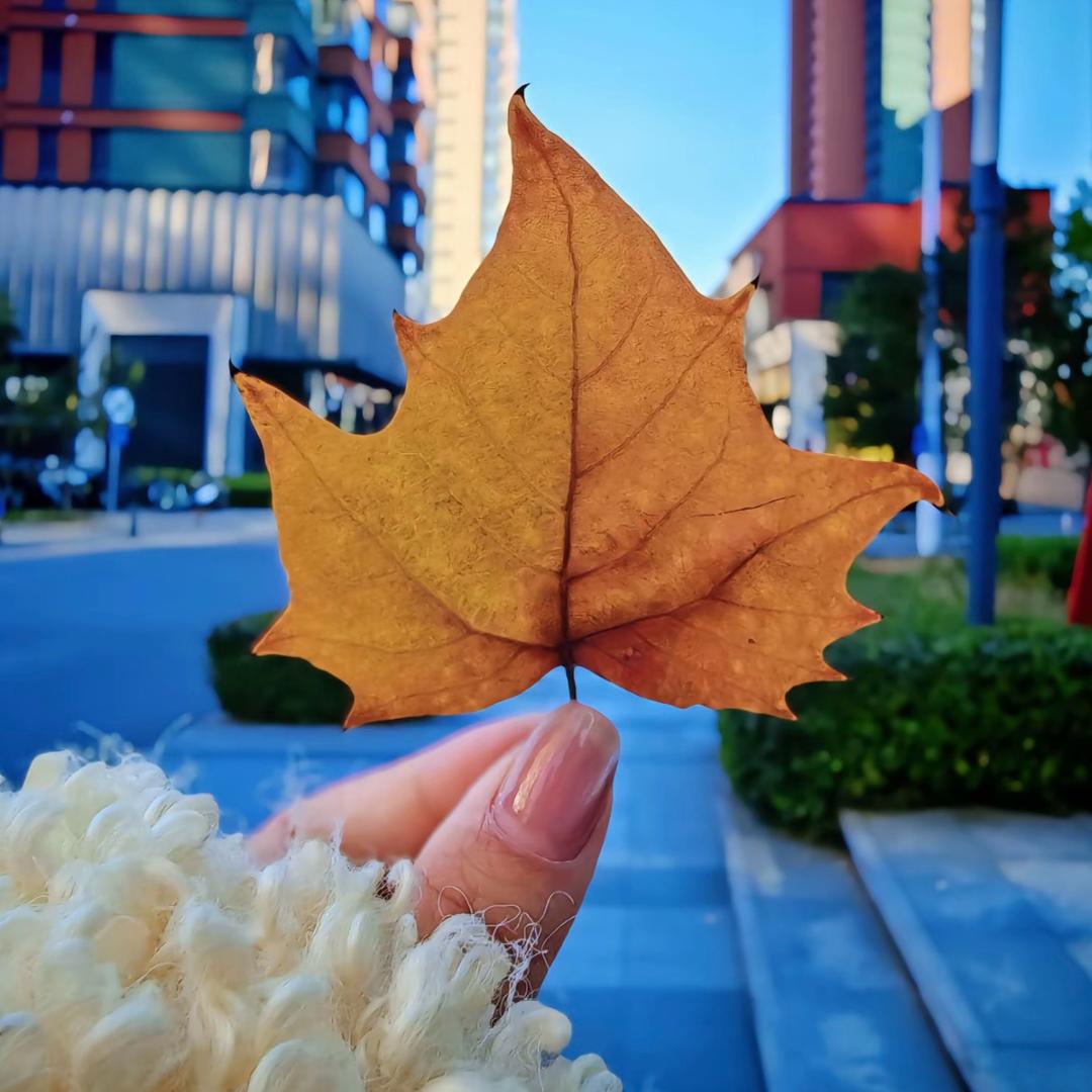 苏晚晚ㅤོᰔᩚ