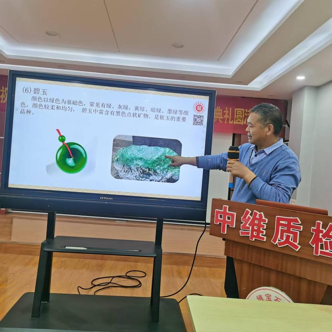老杨鉴宝
