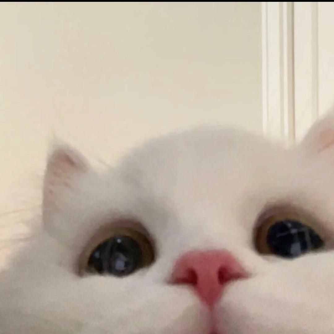 泡泡的