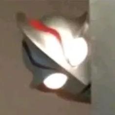 不凡同学