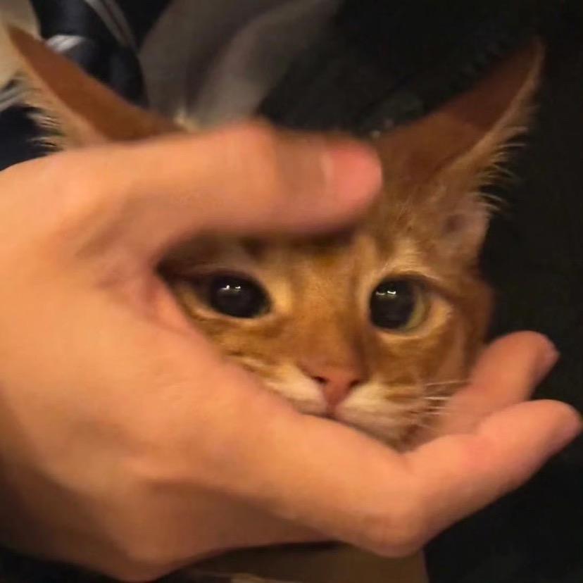 逆鳞说