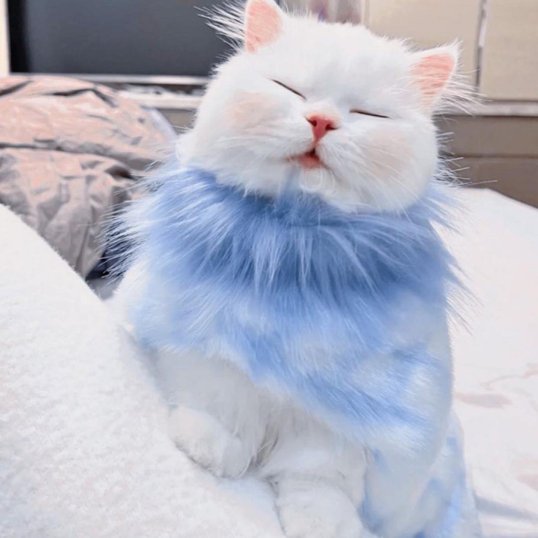 姜汁撞奶