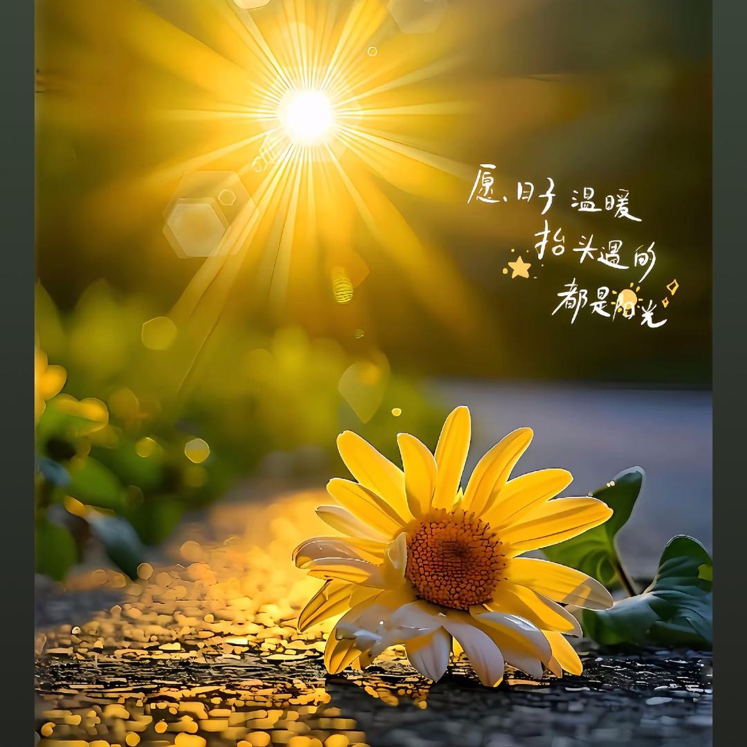 一米阳光☀️