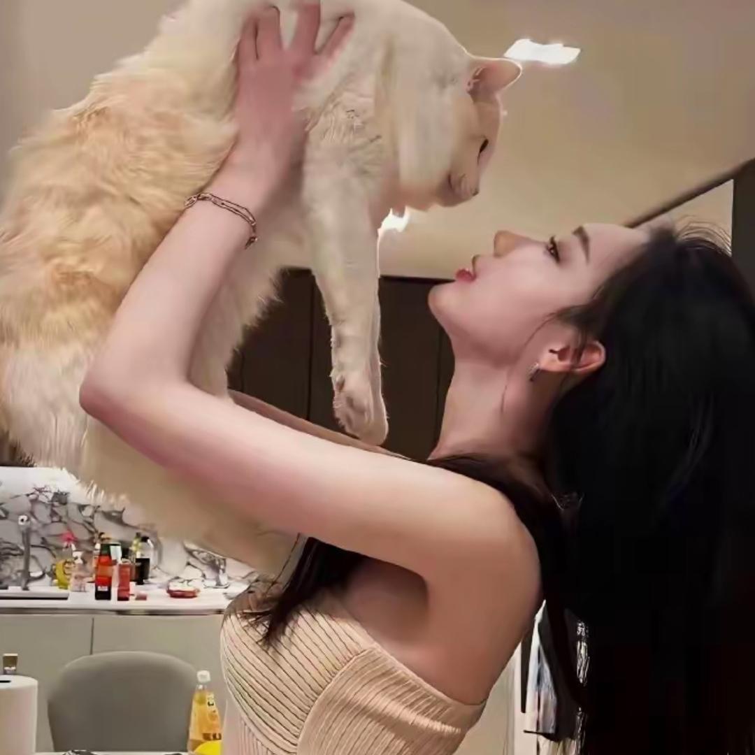 小羊（倾颜❤️）