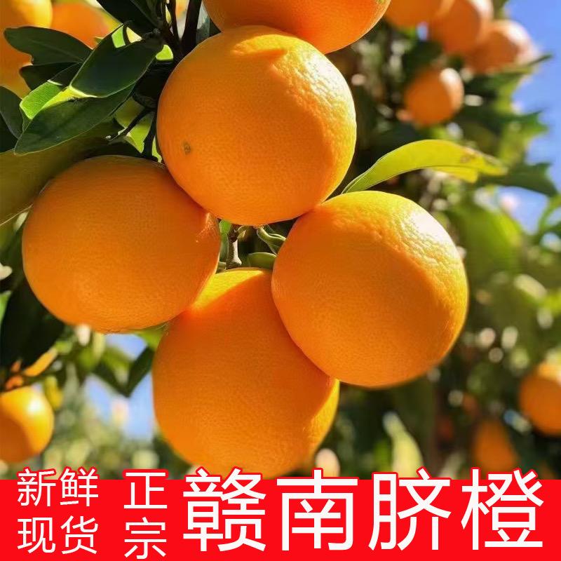 优伊可