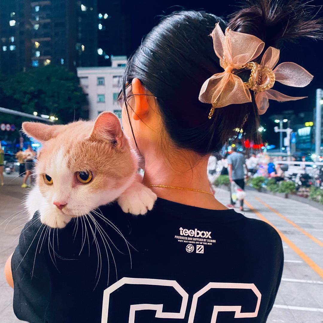 七七小喜
