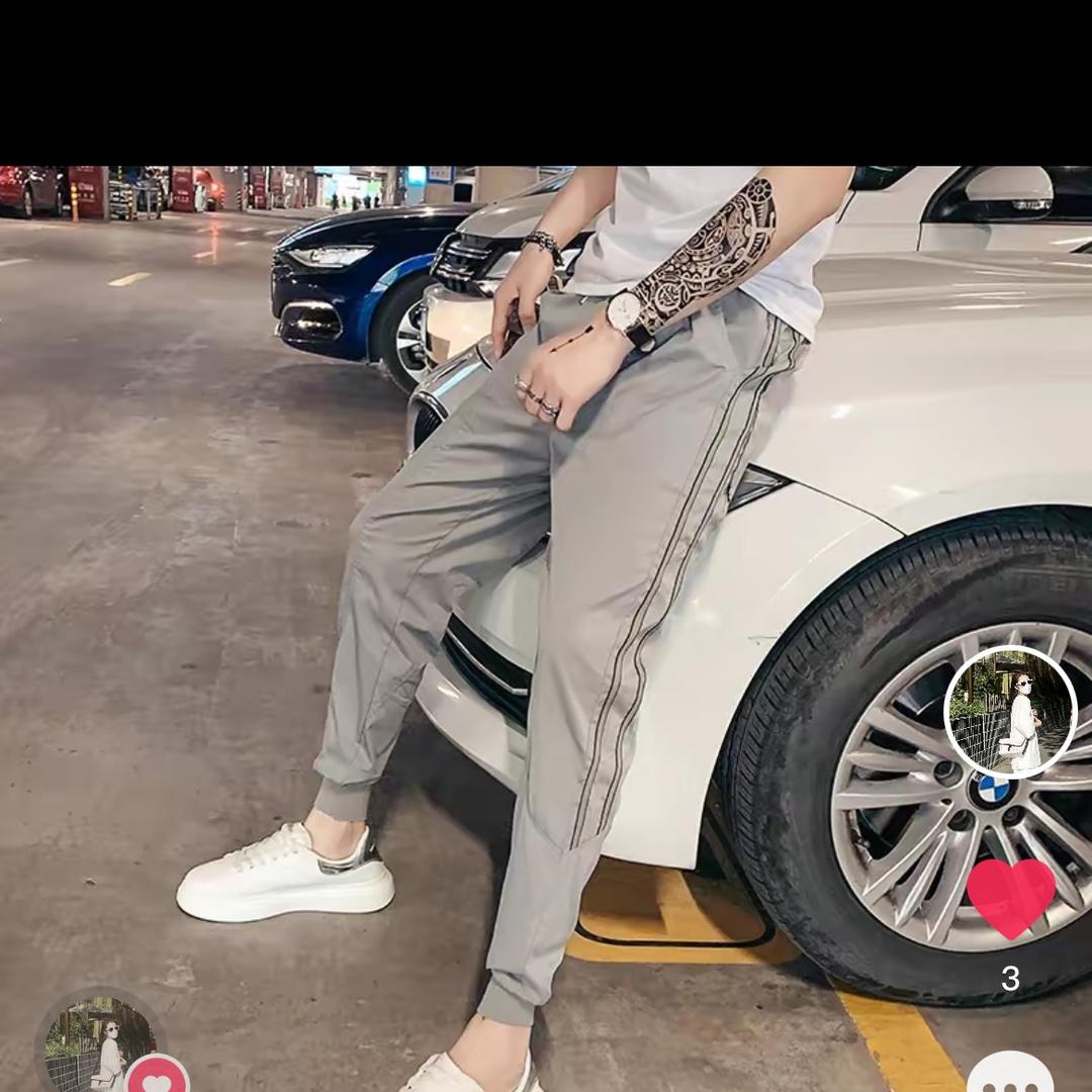 猪的计划谁知道