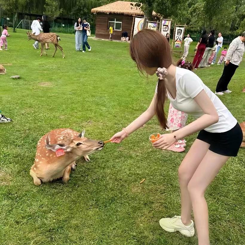 想跟灵姐👀这