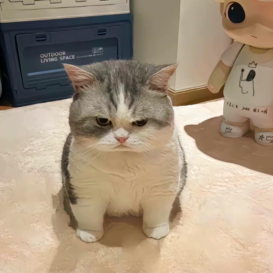 uu崽崽～