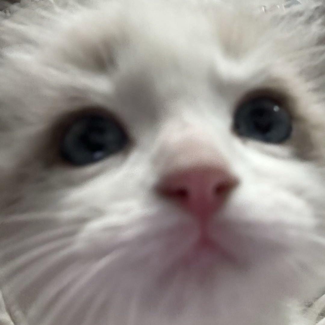 卓美商贸招代下