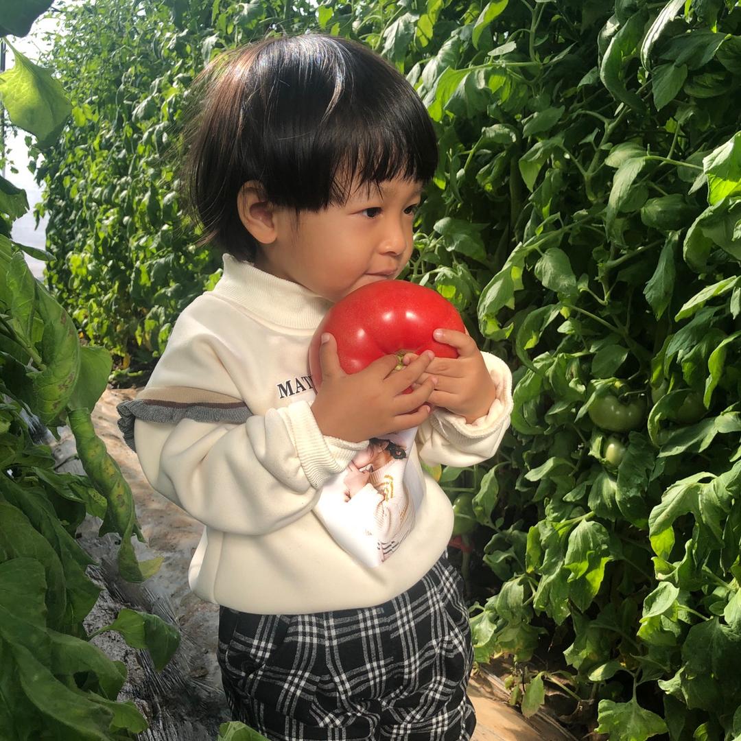 卖西红柿🍅ᵕ̈  𝔻𝕚 番茄酱