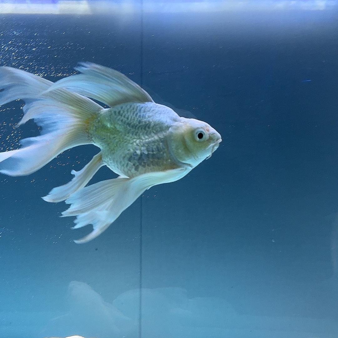 创驰商贸供应链