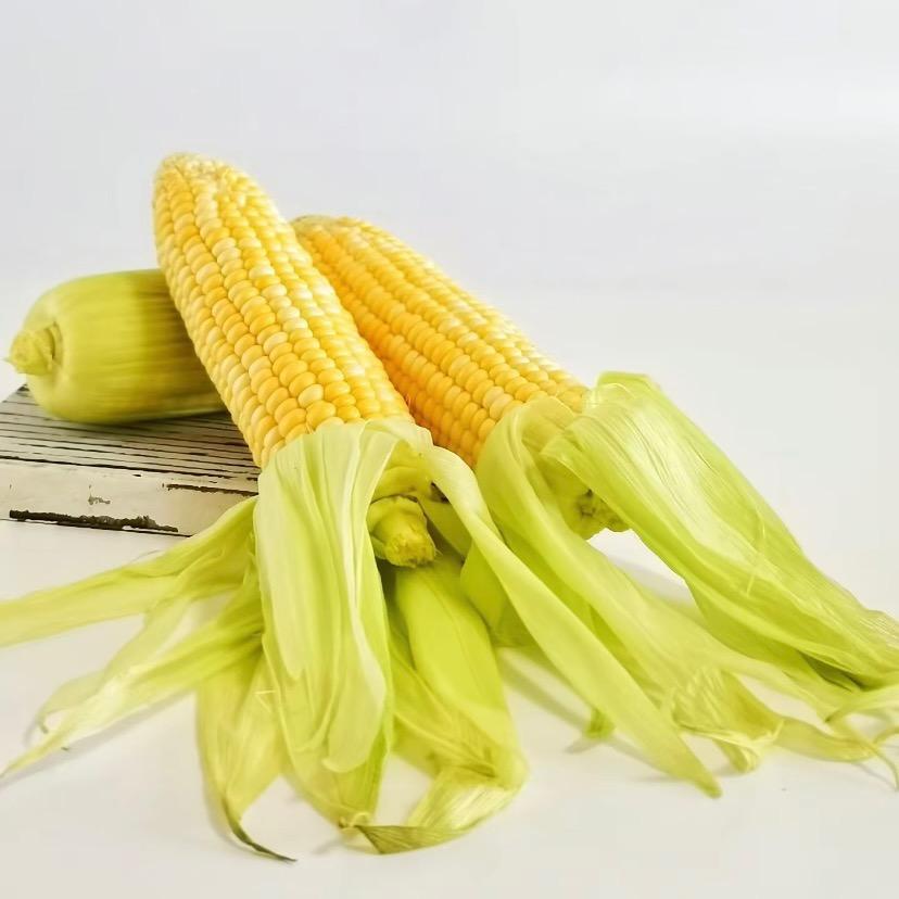 糯玉米果