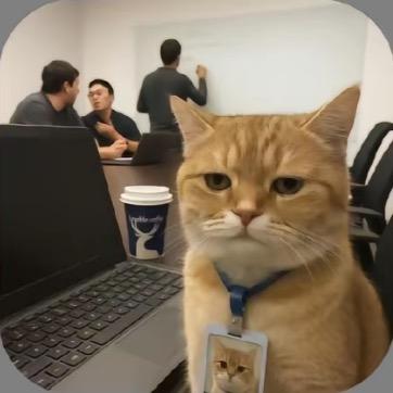 羊驼驼