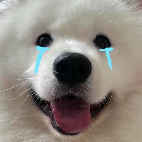 不良网站