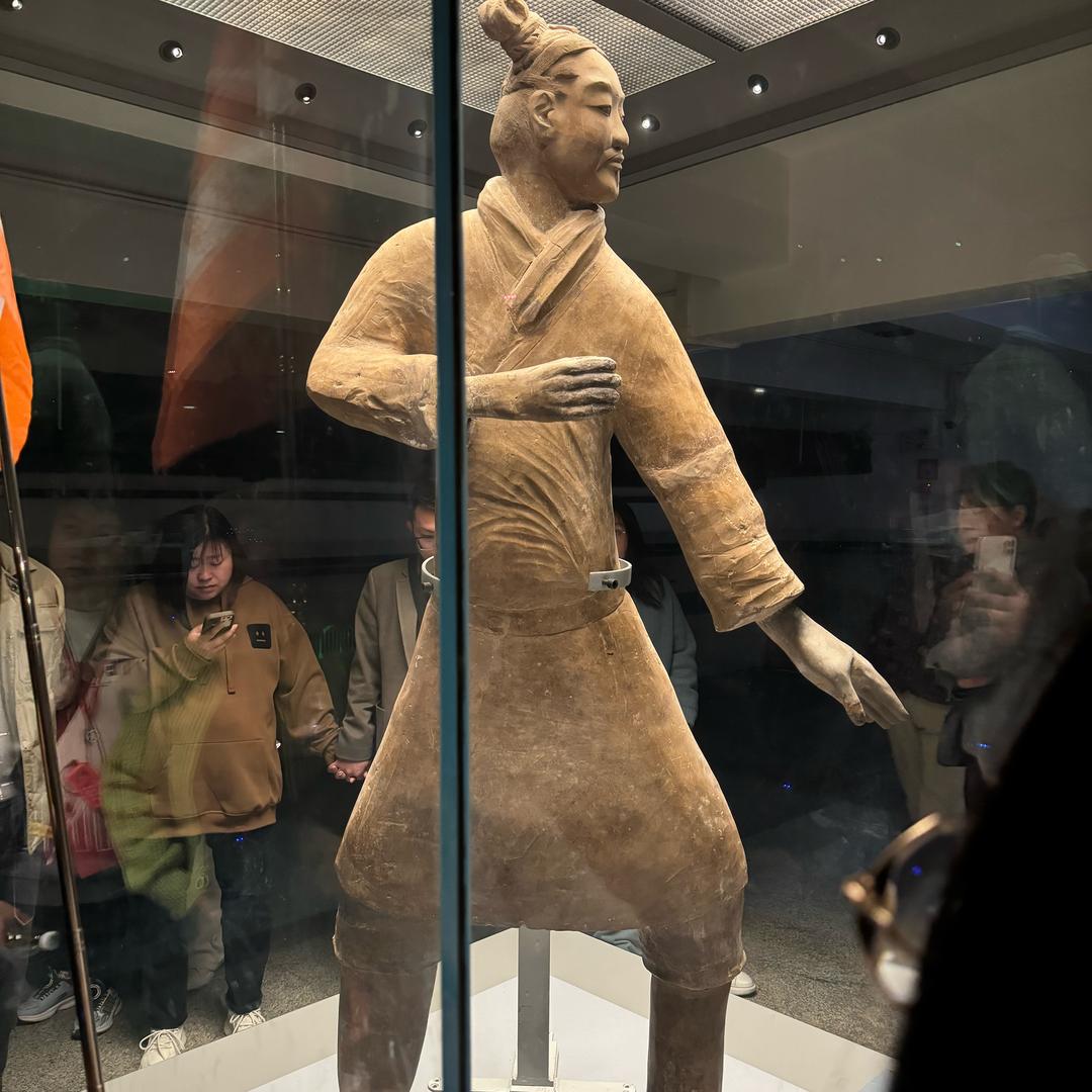 杨杨杨