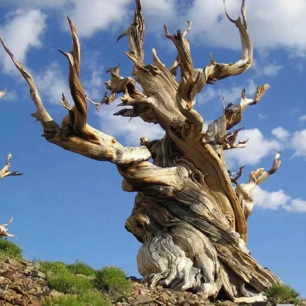 根根家手工蜡线包