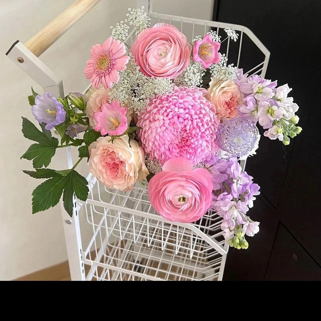 bibi🥳爱吃烧鸡腿🍗烧鸡翅嘻嘻