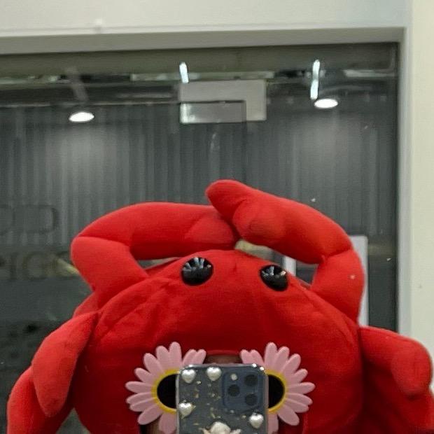 钟情蟹老板