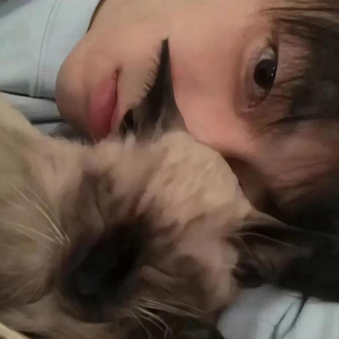 站在冰箱上装高冷