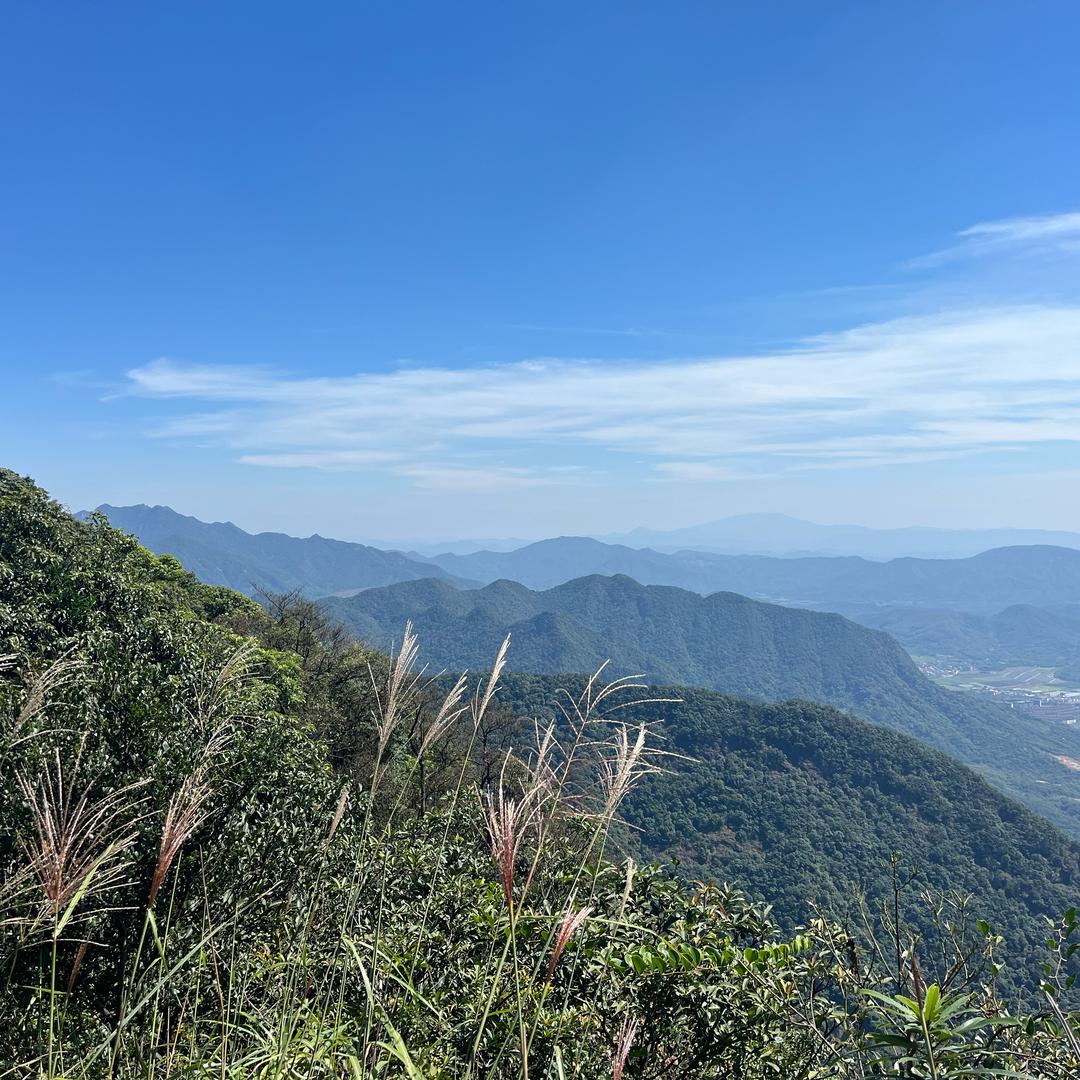 东风