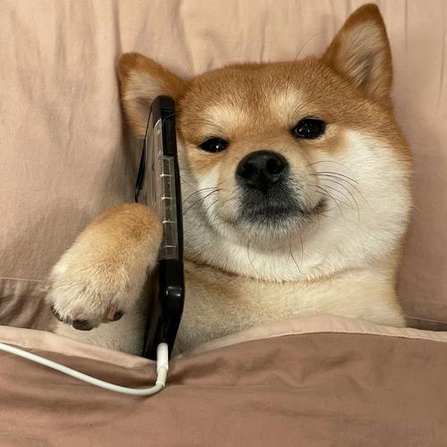 汪少怪谈