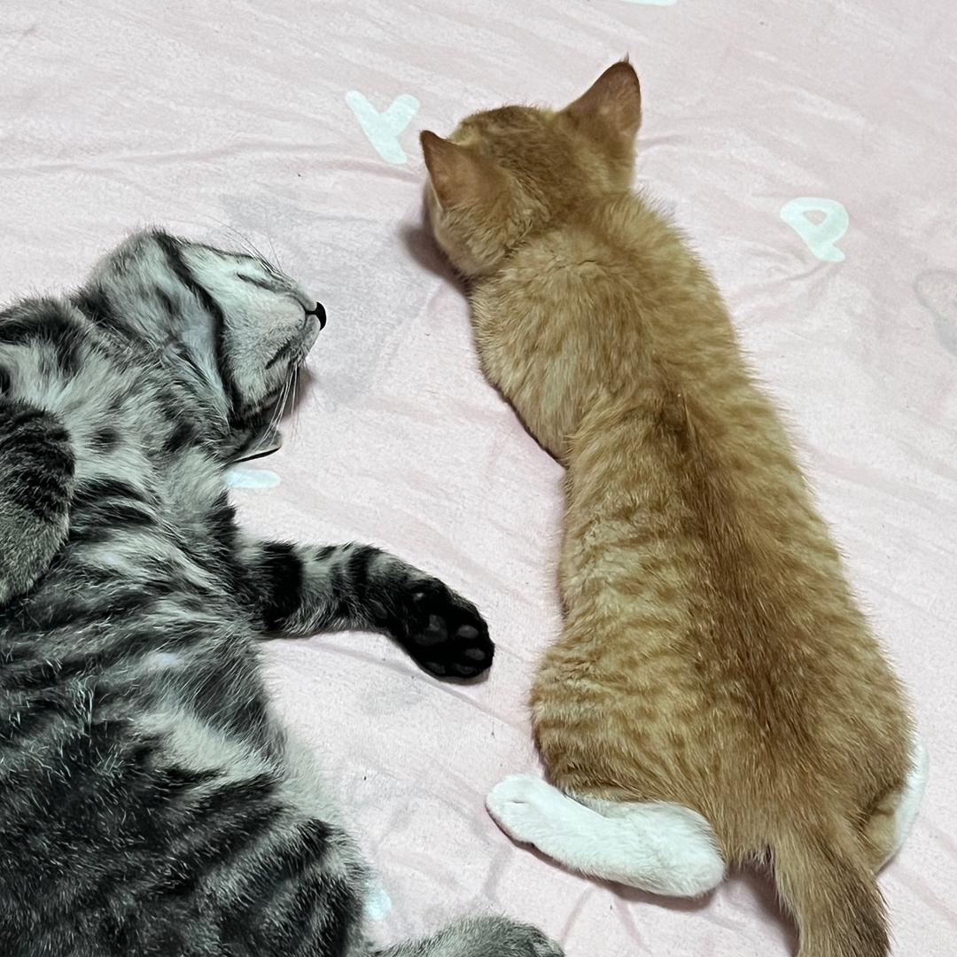 发财和富贵的日常