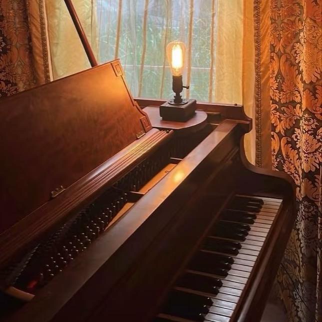 教弹琴的骆老师